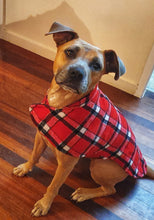 Load image into Gallery viewer, Harley is wearing her 90% wool dog coat. keeping warm and cosy in the cold winter temperatures. Featuring blanket style wool in red check and lined with 100% cotton.