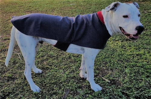 wool blend dog coat; grey check outer with red wool flannel lining, available in 5 sizes to suit all dogs
