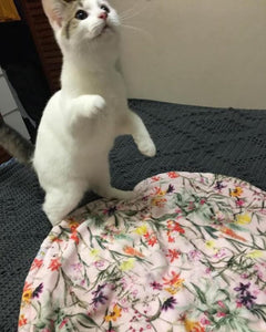 Otto expresses excitement about his new minky cat mat