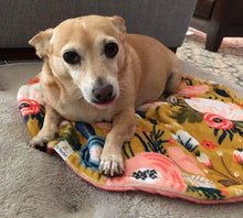 Load image into Gallery viewer, Pearl the Jack Russell is evidence that dogs love minky cat mats as well.