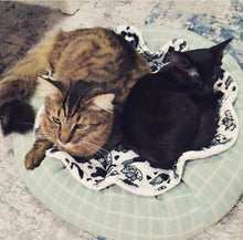 Load image into Gallery viewer, Tiki takes up more than his fair share of room on the minky cat mat but Philip, the black cat, is ok with that.