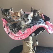 Load image into Gallery viewer, Cat Mats - Cosy minky mats for your Kitty NOT CURRENTLY AVAILABLE